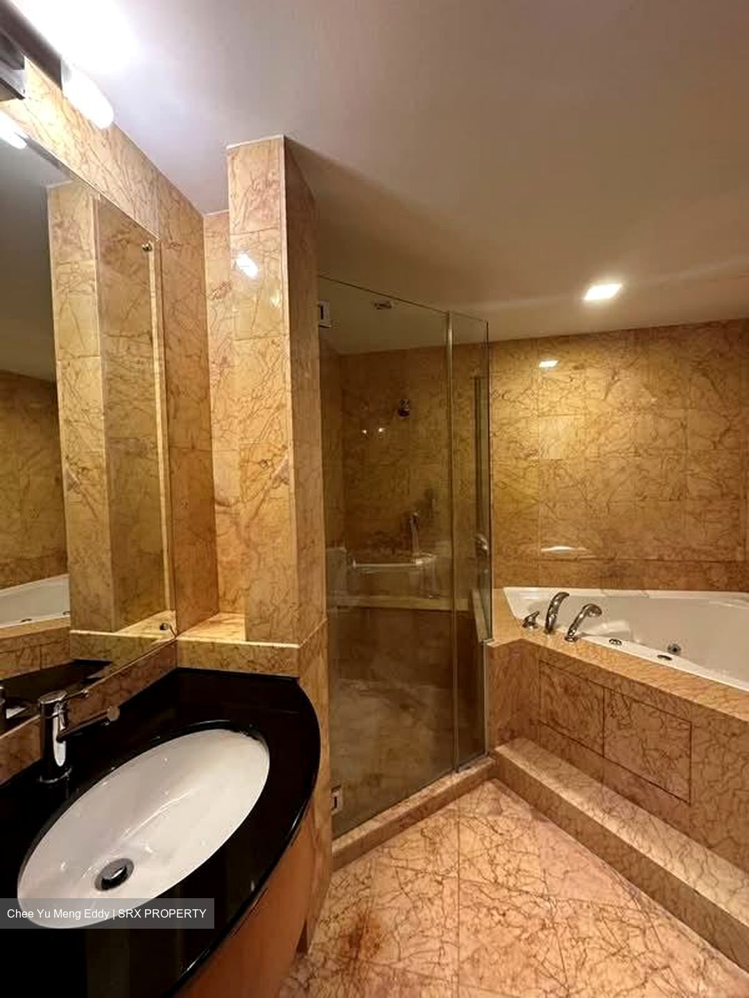 Orchard Scotts (D9), Condominium #553299691